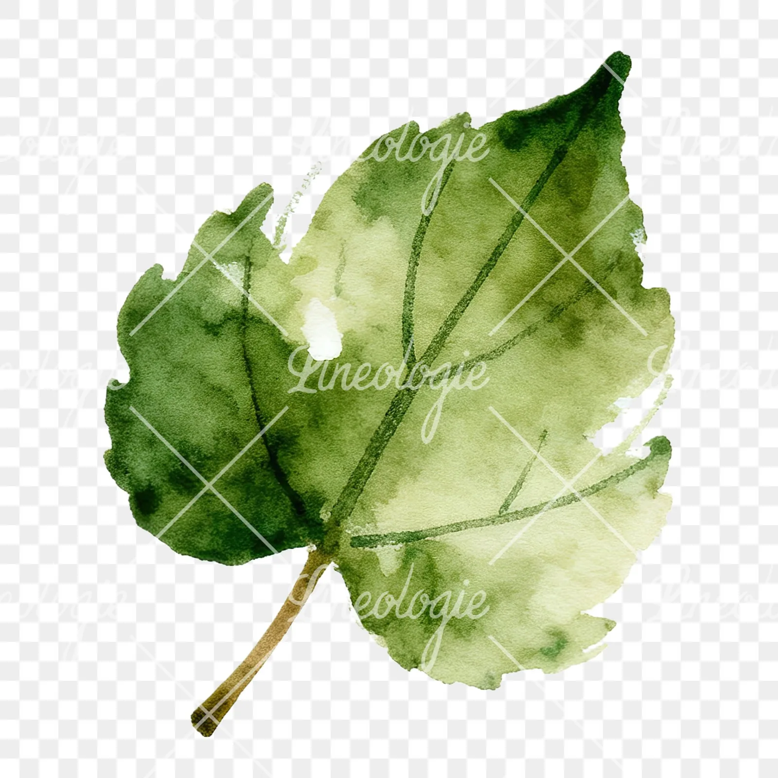 Watercolor red and orange autumn leaf clipart 12 of 12 on a transparent background (PNG)