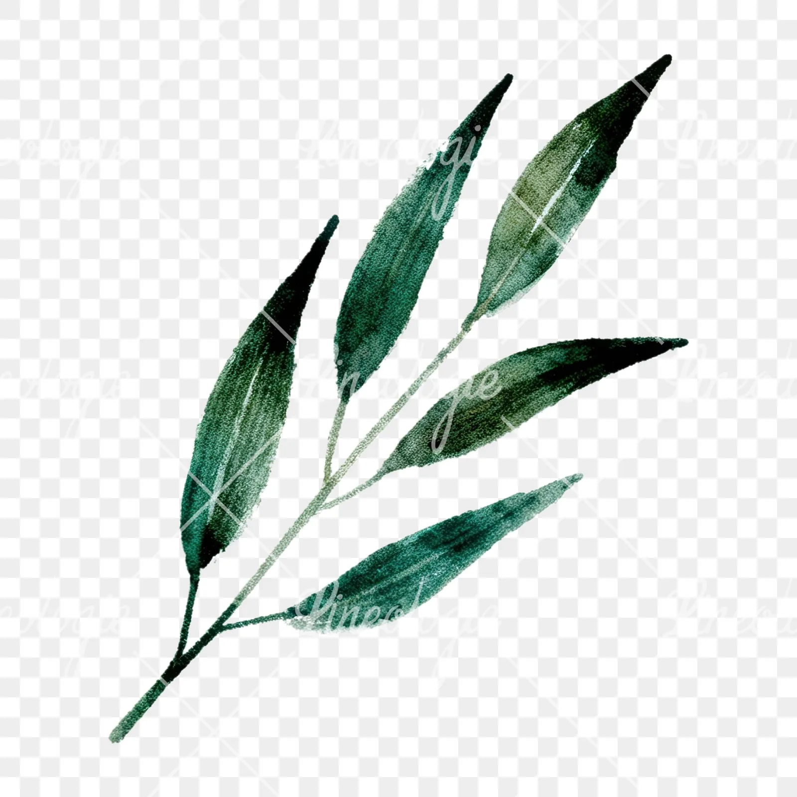Watercolor eucalyptus branch with muted blues clipart 6 of 12 on a transparent background (PNG)