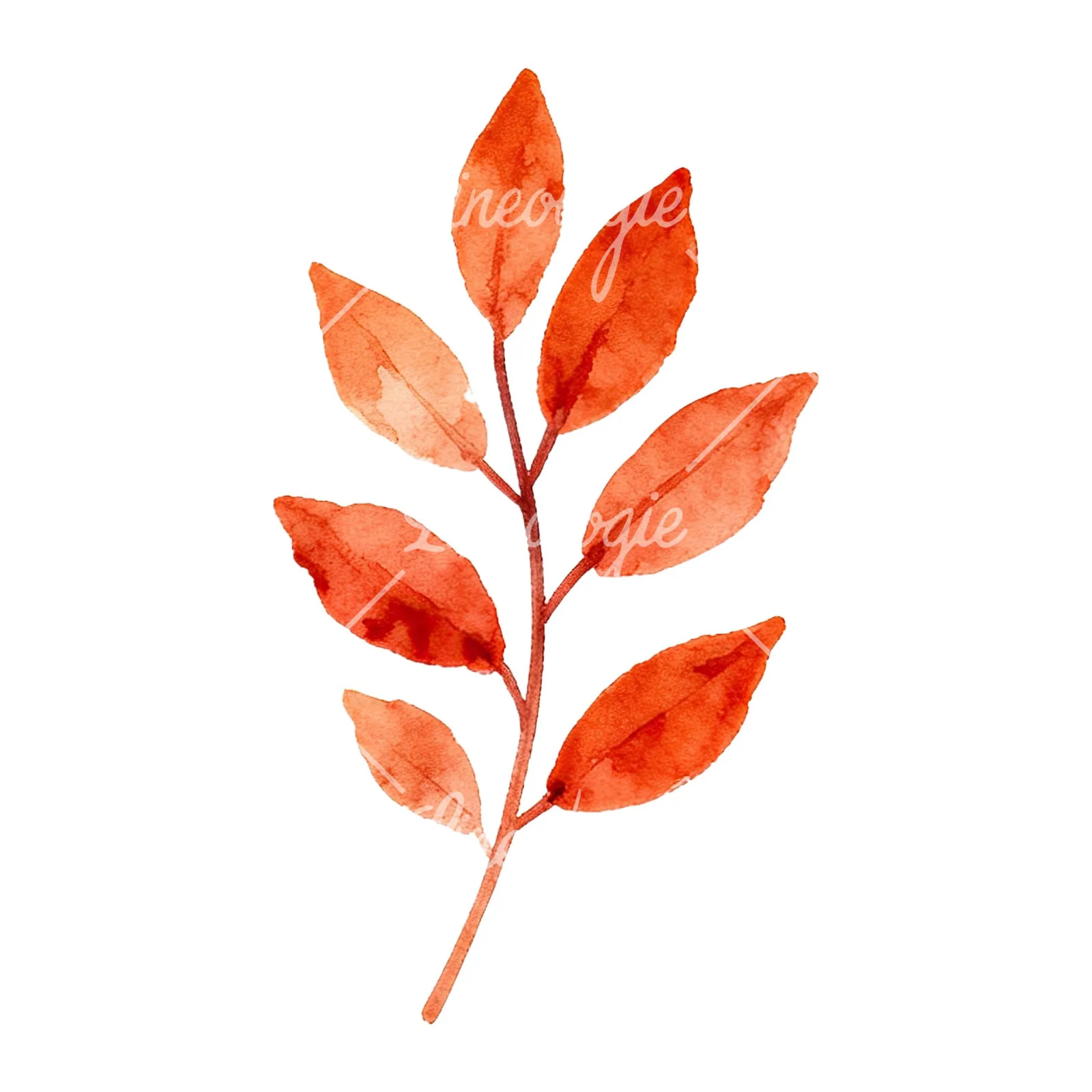 Watercolor autumn leaf with fern-like designs clipart 4 of 12 on a white background (JPG)