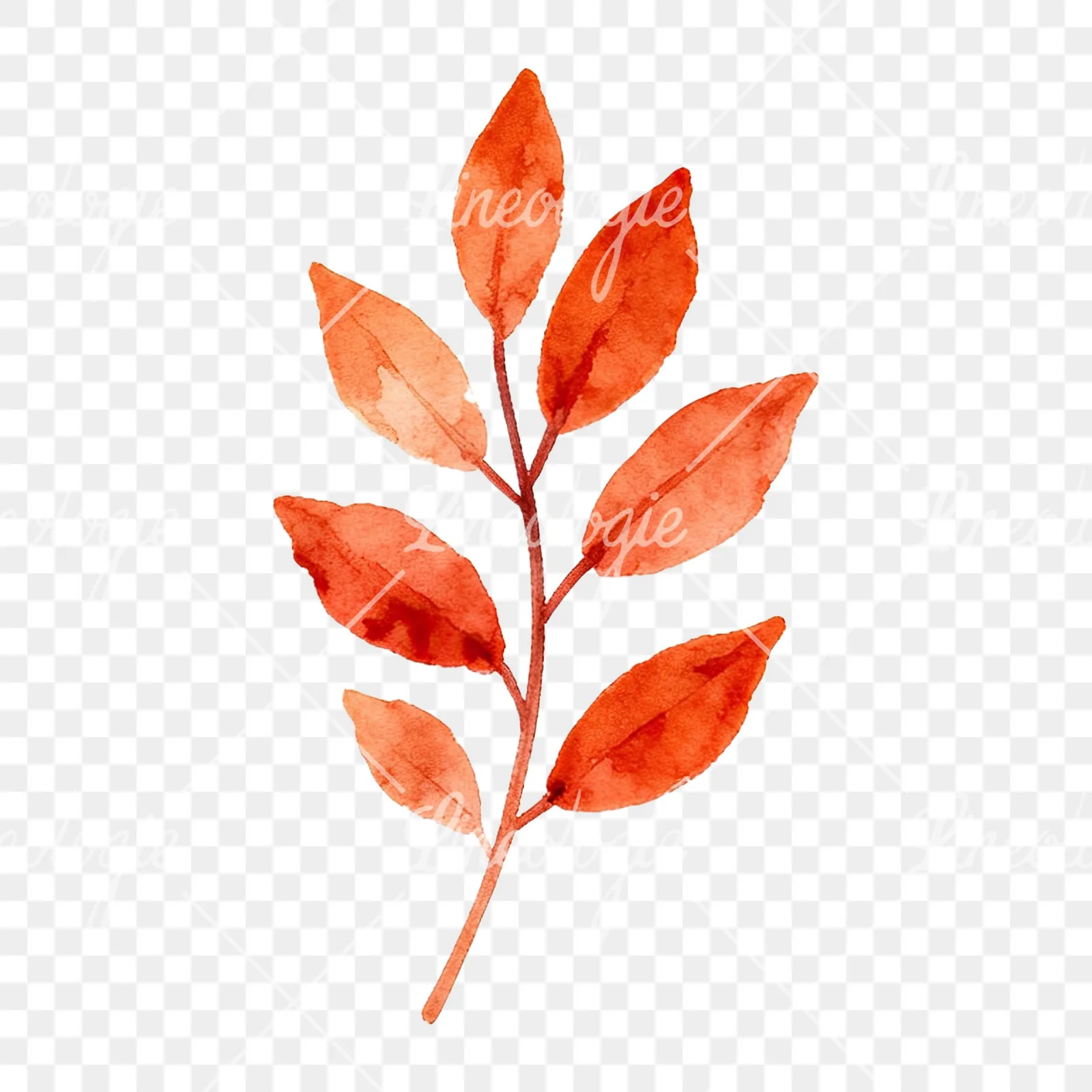 Watercolor autumn leaf with fern-like designs clipart 4 of 12 on a transparent background (PNG)