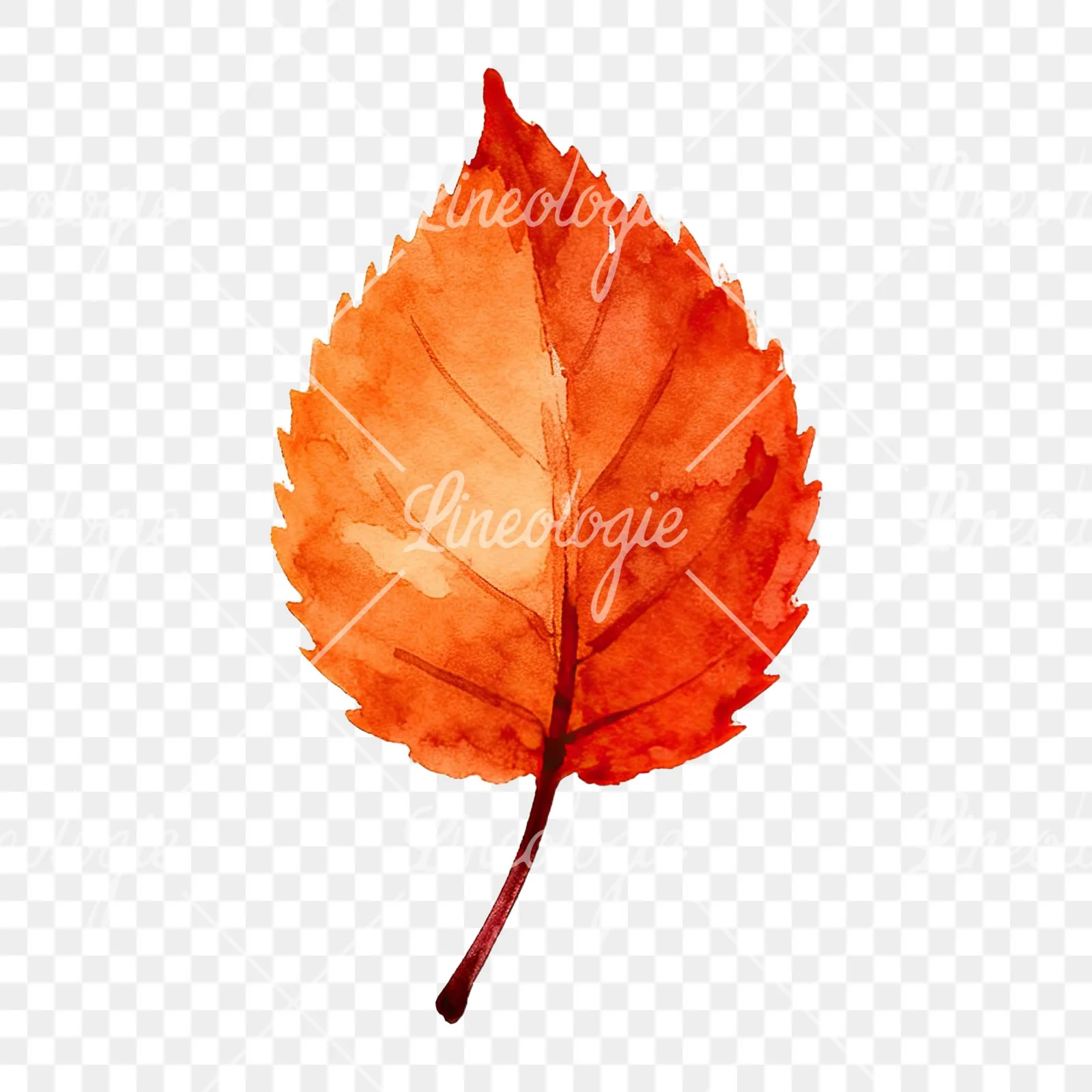 Watercolor autumn leaf with fern-like designs clipart 5 of 12 on a transparent background (PNG)