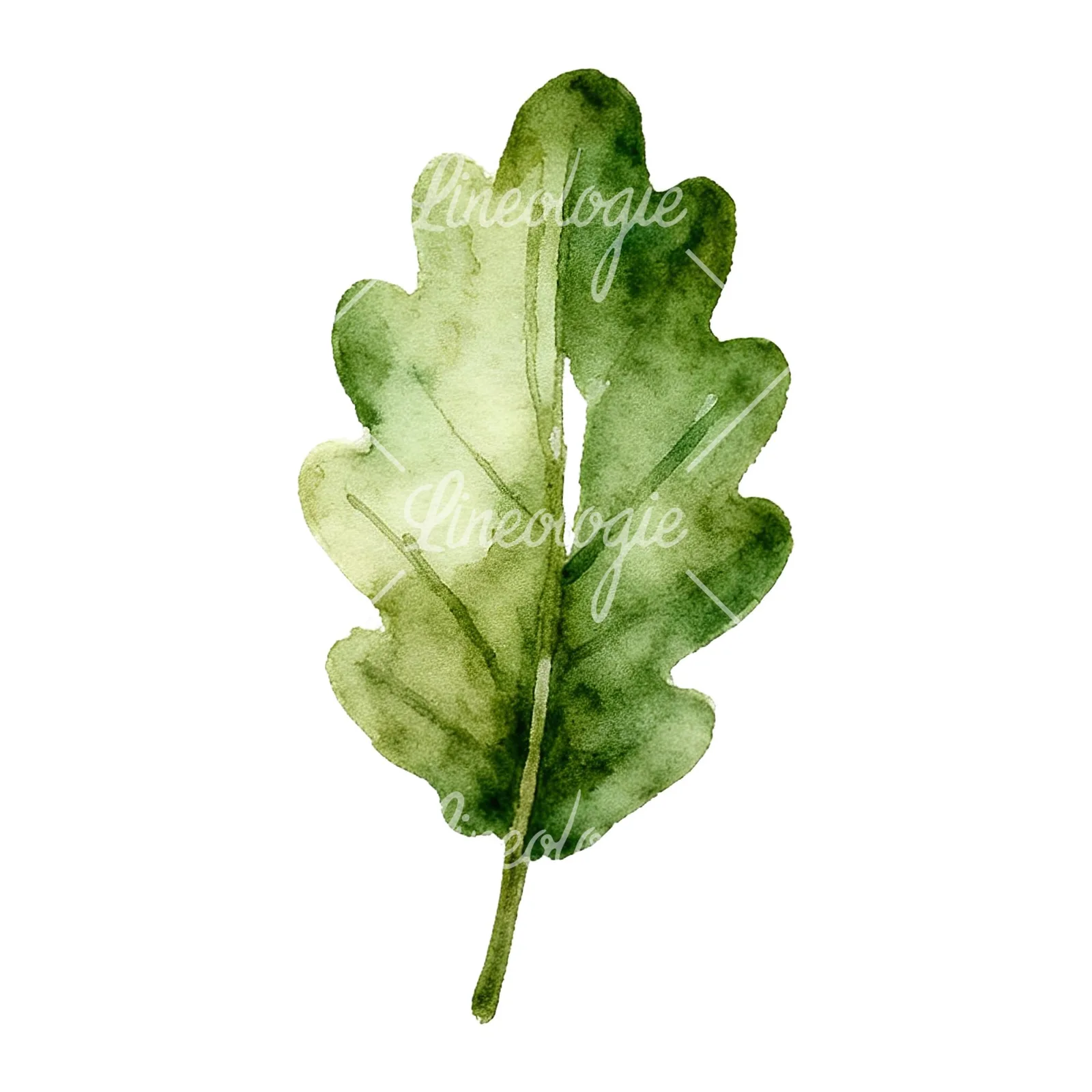 Watercolor autumn leaf with fern-like designs clipart 8 of 12 on a white background (JPG)