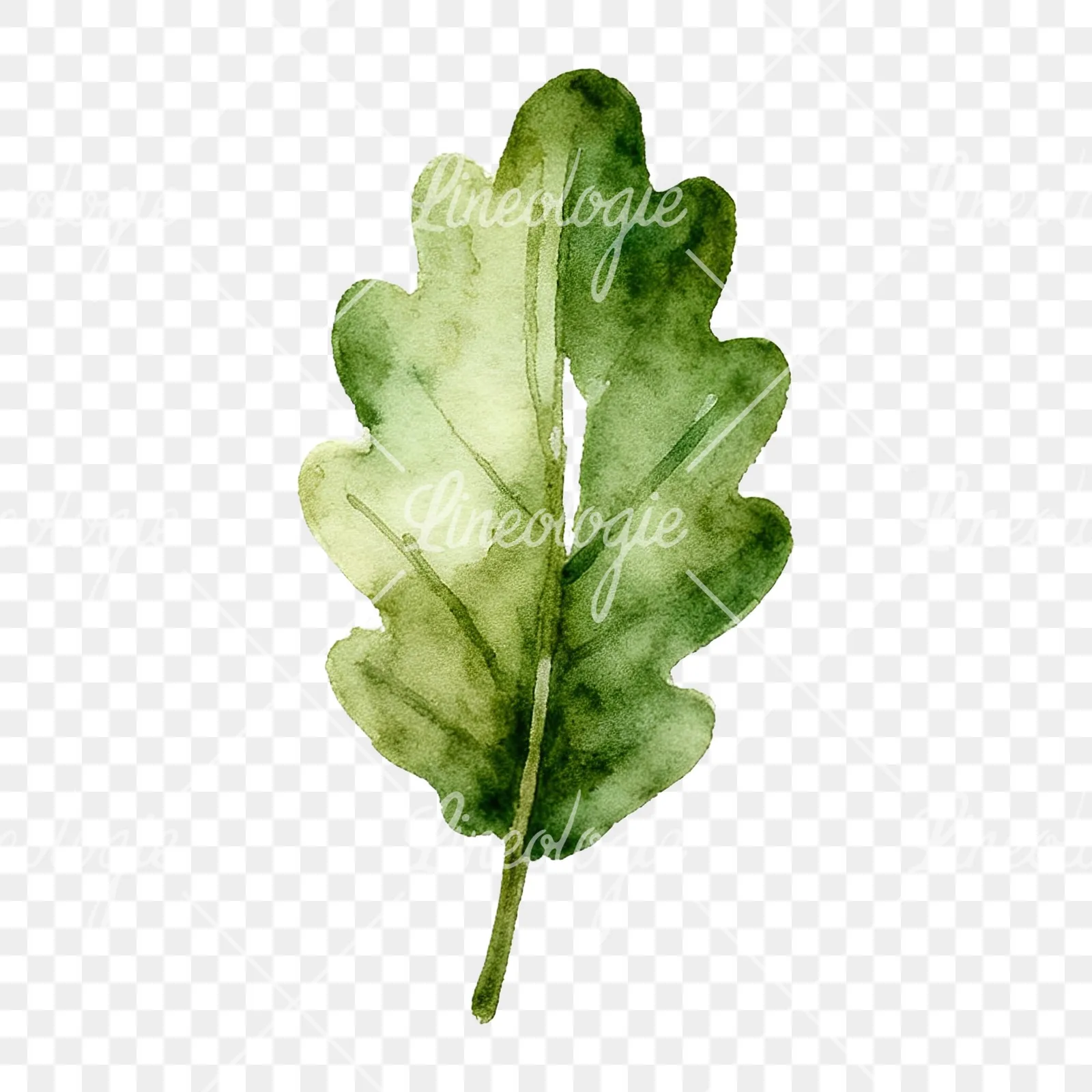 Watercolor autumn leaf with fern-like designs clipart 8 of 12 on a transparent background (PNG)