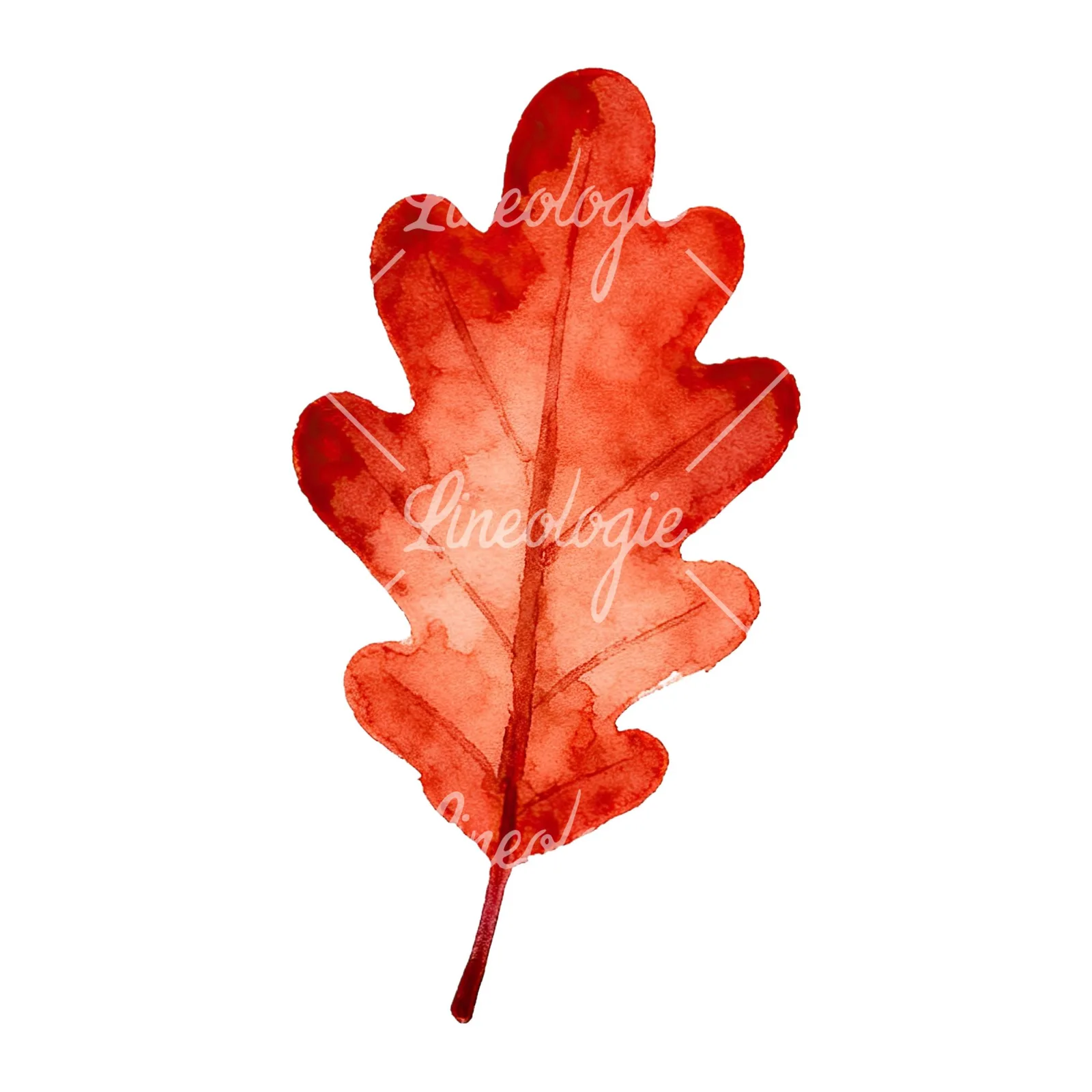 Watercolor autumn leaf with fern-like designs clipart 11 of 12 on a white background (JPG)