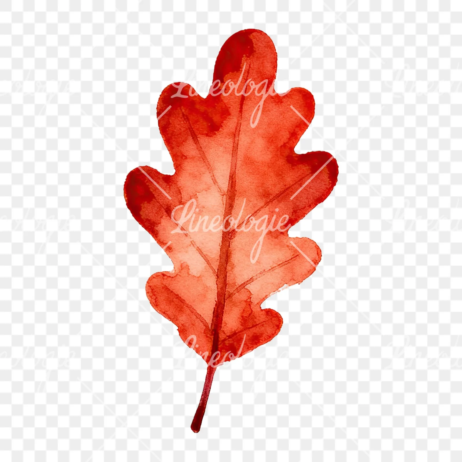 Watercolor autumn leaf with fern-like designs clipart 11 of 12 on a transparent background (PNG)