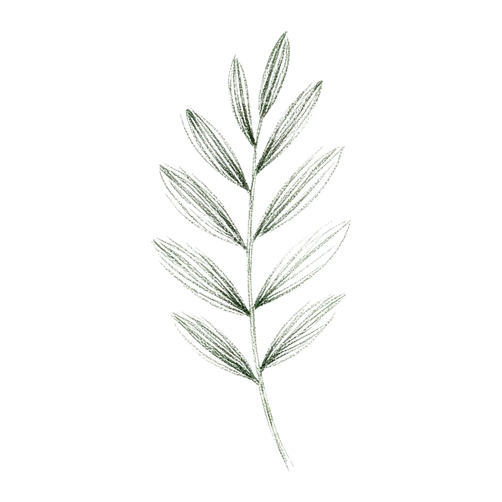 Watercolor autumn leaf with fern-like designs clipart 12 of 12 on a white background (JPG)