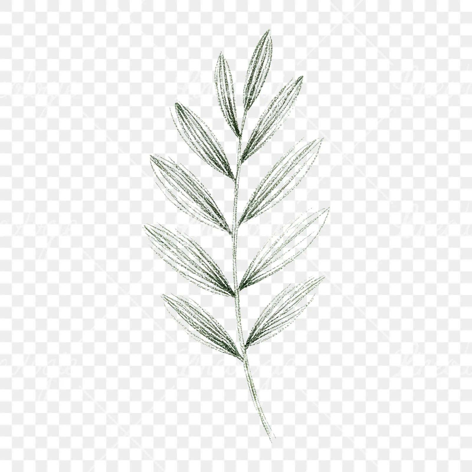 Watercolor autumn leaf with fern-like designs clipart 12 of 12 on a transparent background (PNG)