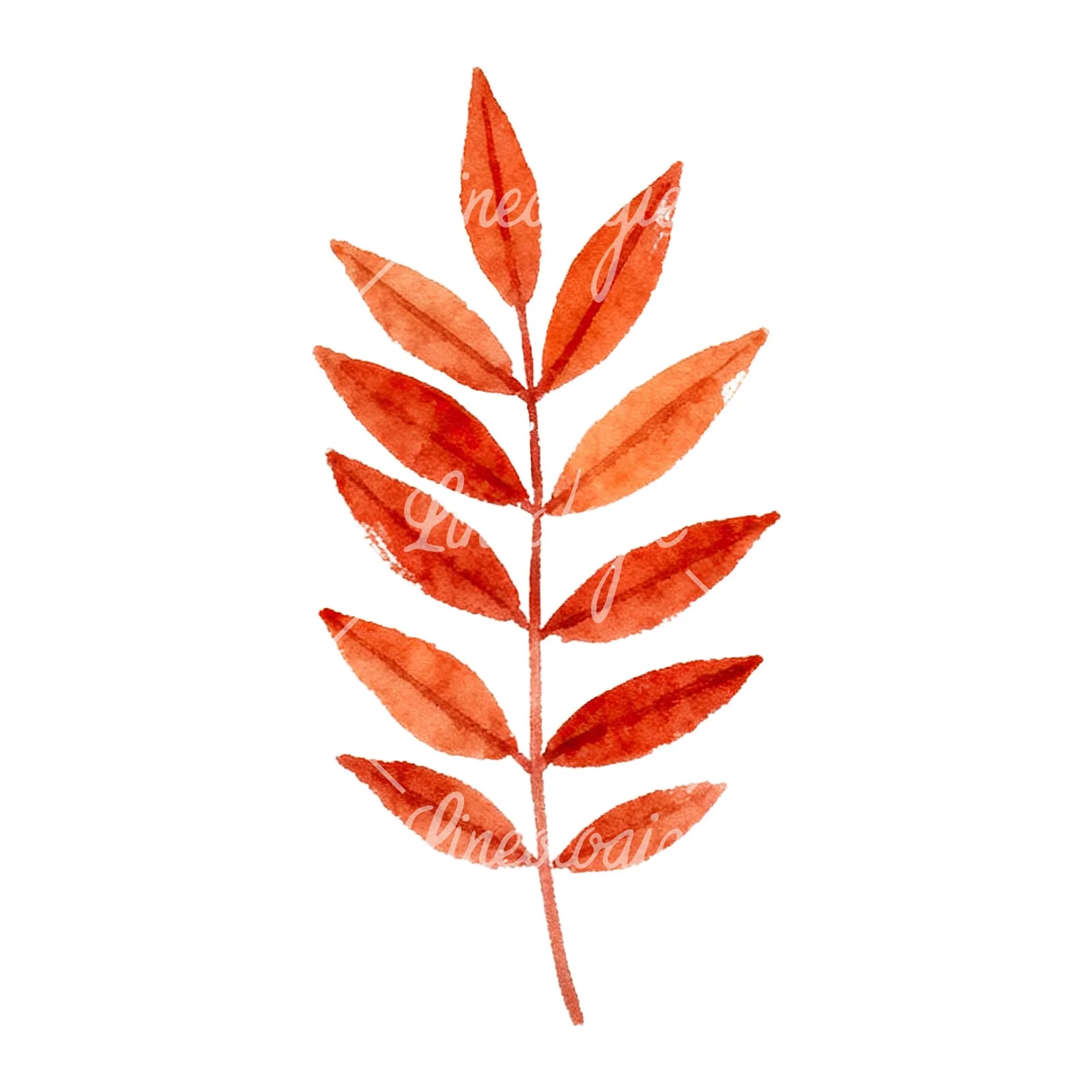 Watercolor red and orange fall leaf clipart 1 of 12 on a white background (JPG)