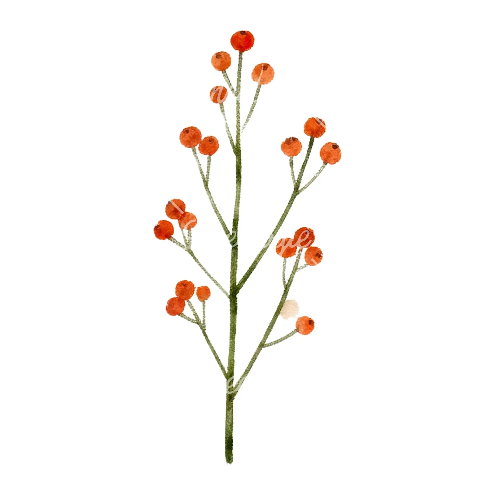 Watercolor red and orange fall leaf clipart 4 of 12 on a white background (JPG)