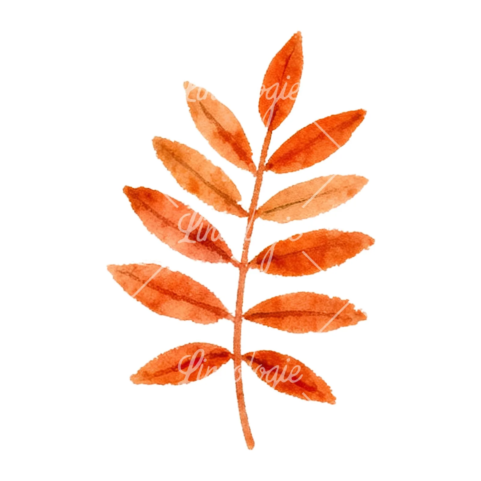 Watercolor red and orange fall leaf clipart 5 of 12 on a white background (JPG)