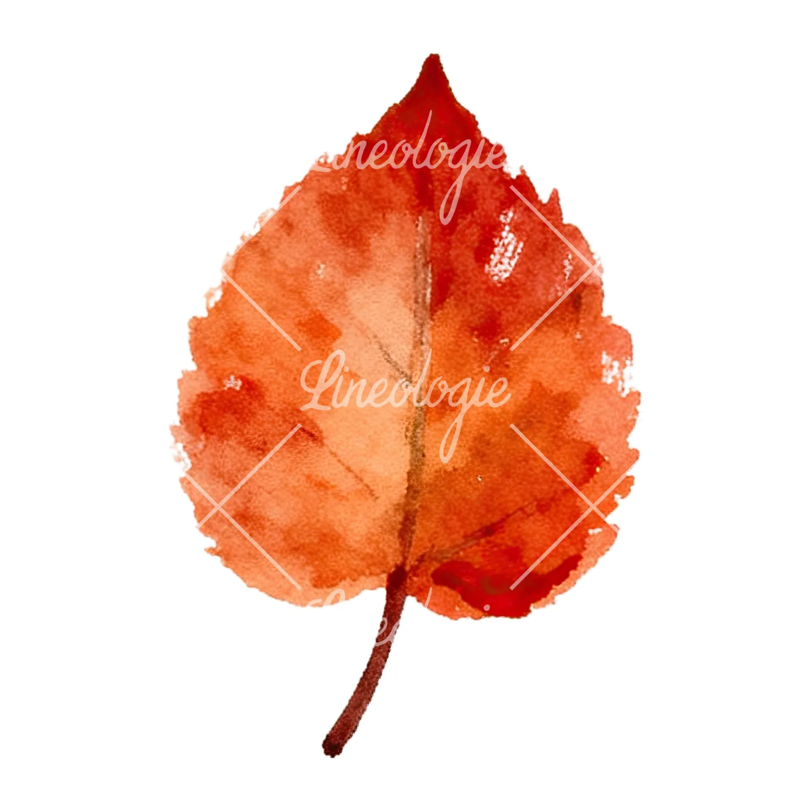 Watercolor red and orange fall leaf clipart 12 of 12 on a white background (JPG)
