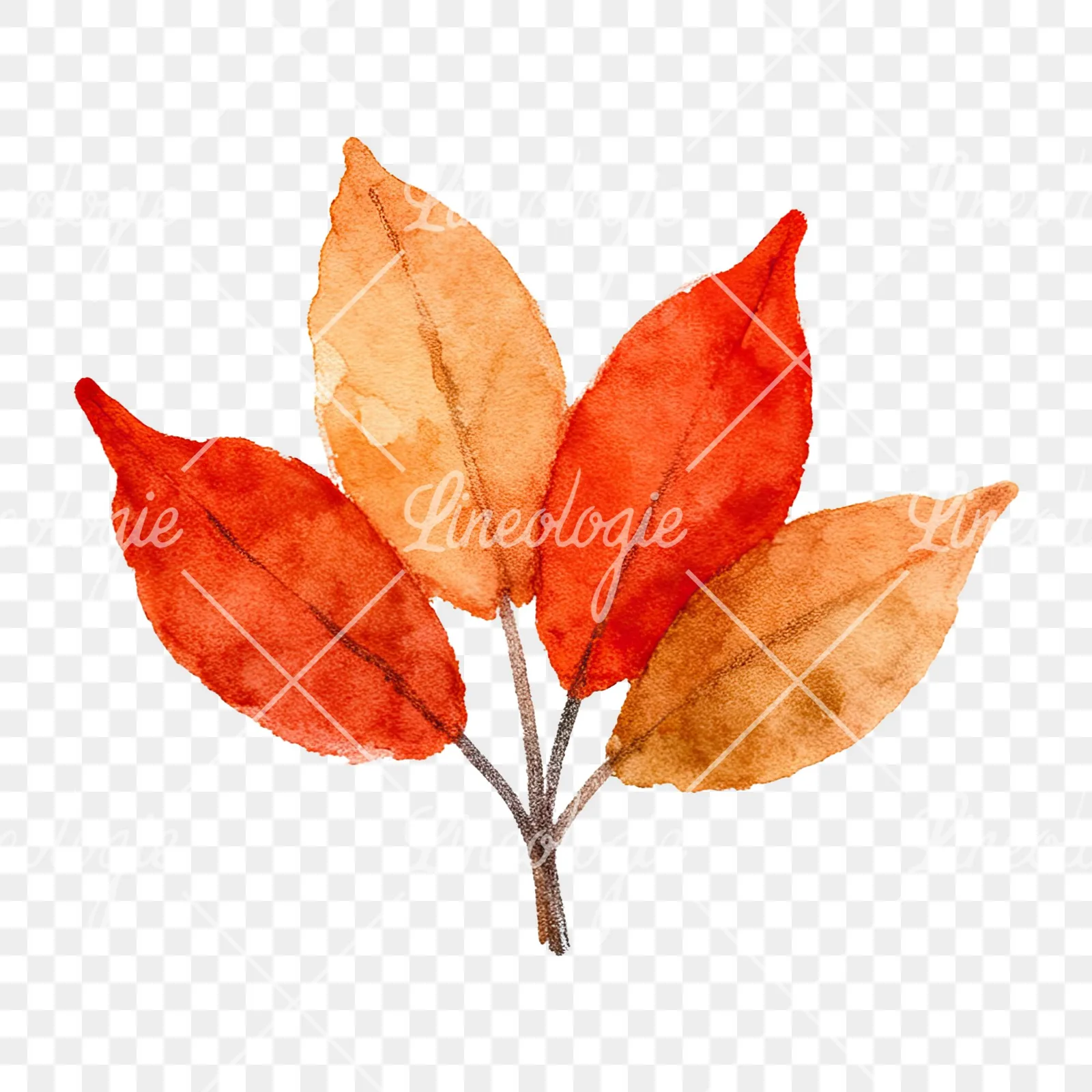 Watercolor autumn leaf bouquet clipart 1 of 15 on a transparent background (PNG)