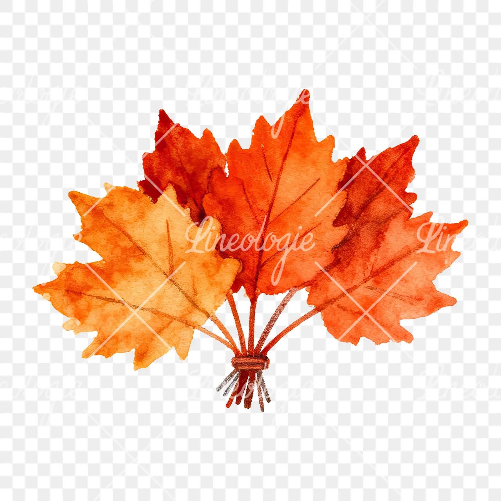 Watercolor autumn leaf bouquet clipart 2 of 15 on a transparent background (PNG)