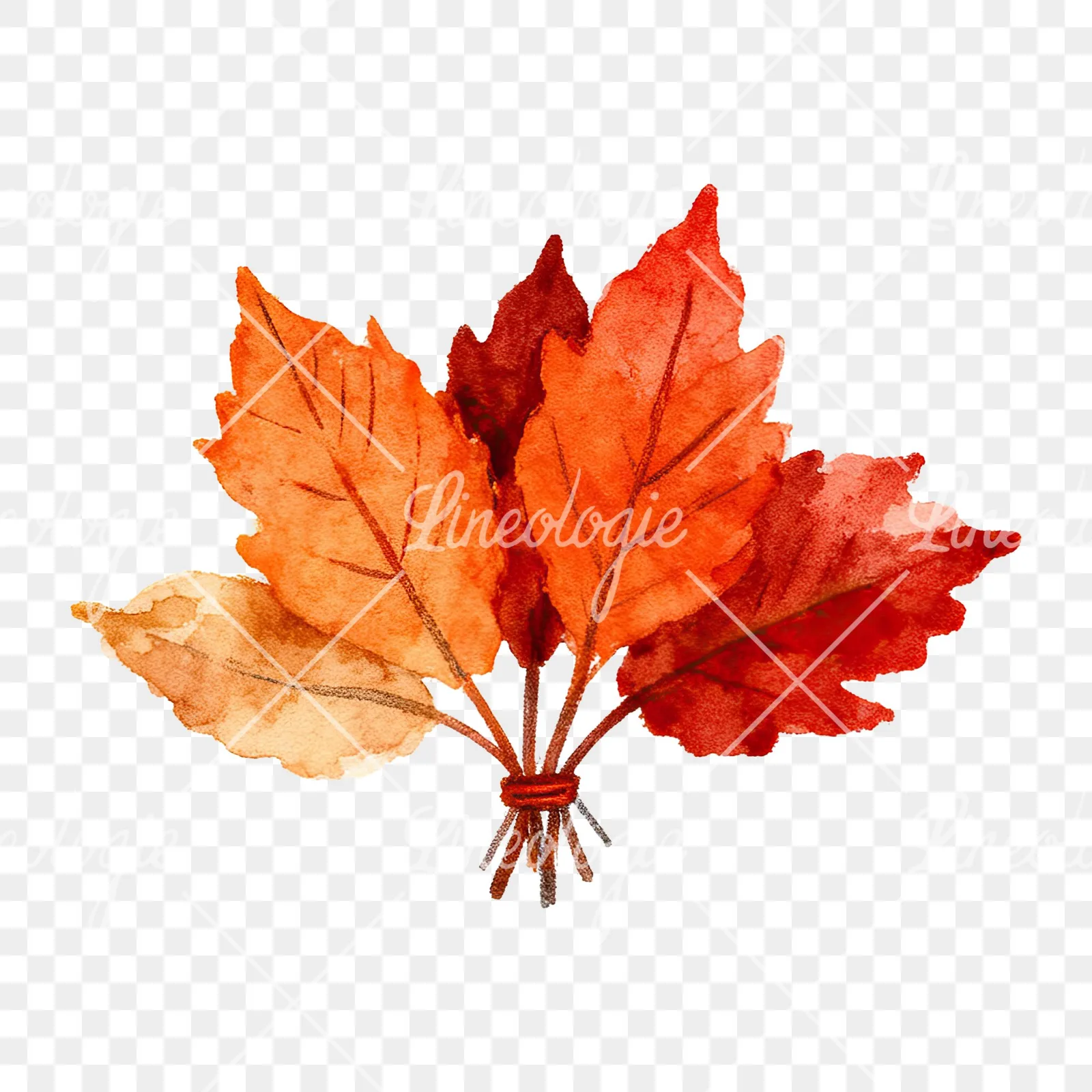 Watercolor autumn leaf bouquet clipart 4 of 15 on a transparent background (PNG)