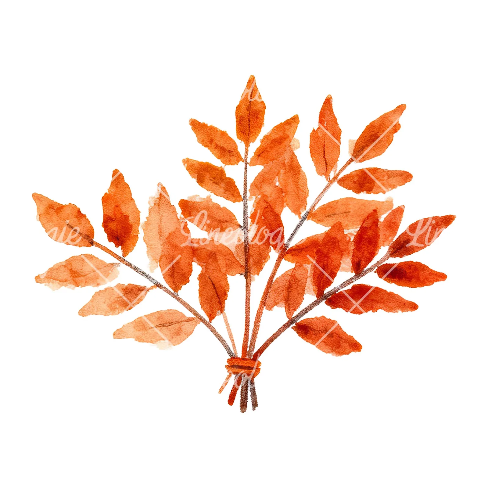 Watercolor autumn leaf bouquet clipart 5 of 15 on a white background (JPG)