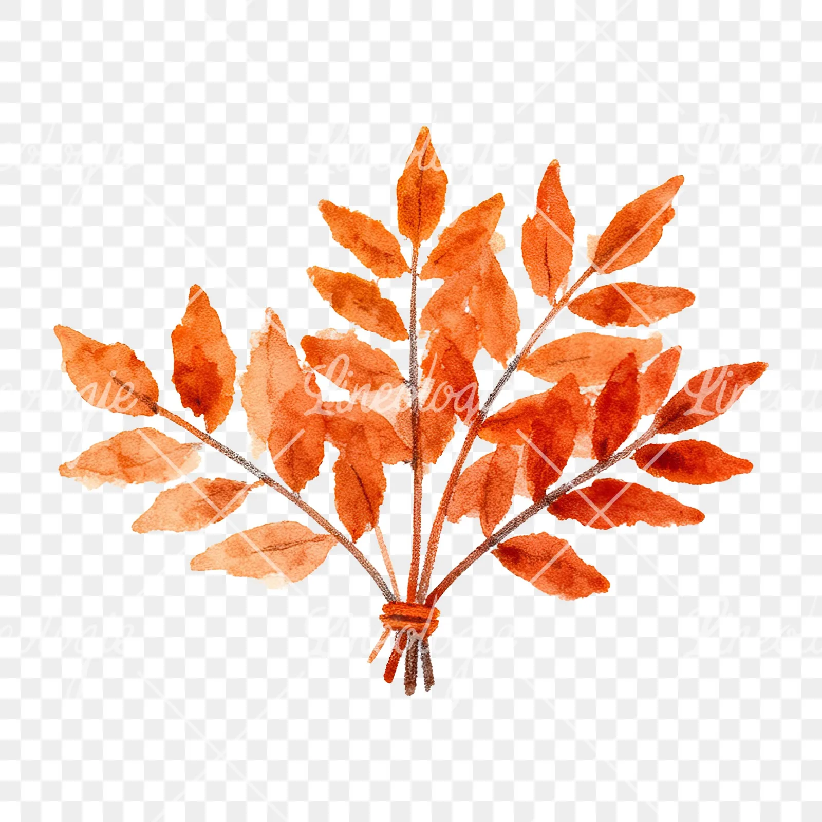 Watercolor autumn leaf bouquet clipart 5 of 15 on a transparent background (PNG)