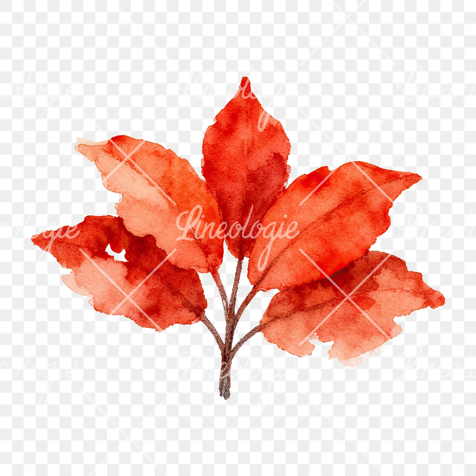 Watercolor autumn leaf bouquet clipart 6 of 15 on a transparent background (PNG)