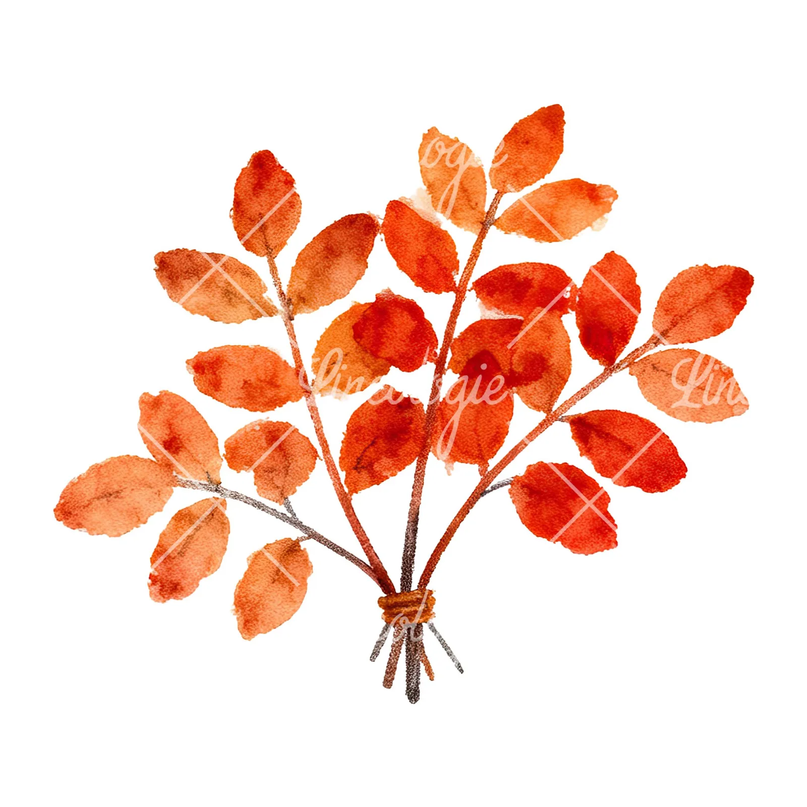Watercolor autumn leaf bouquet clipart 9 of 15 on a white background (JPG)