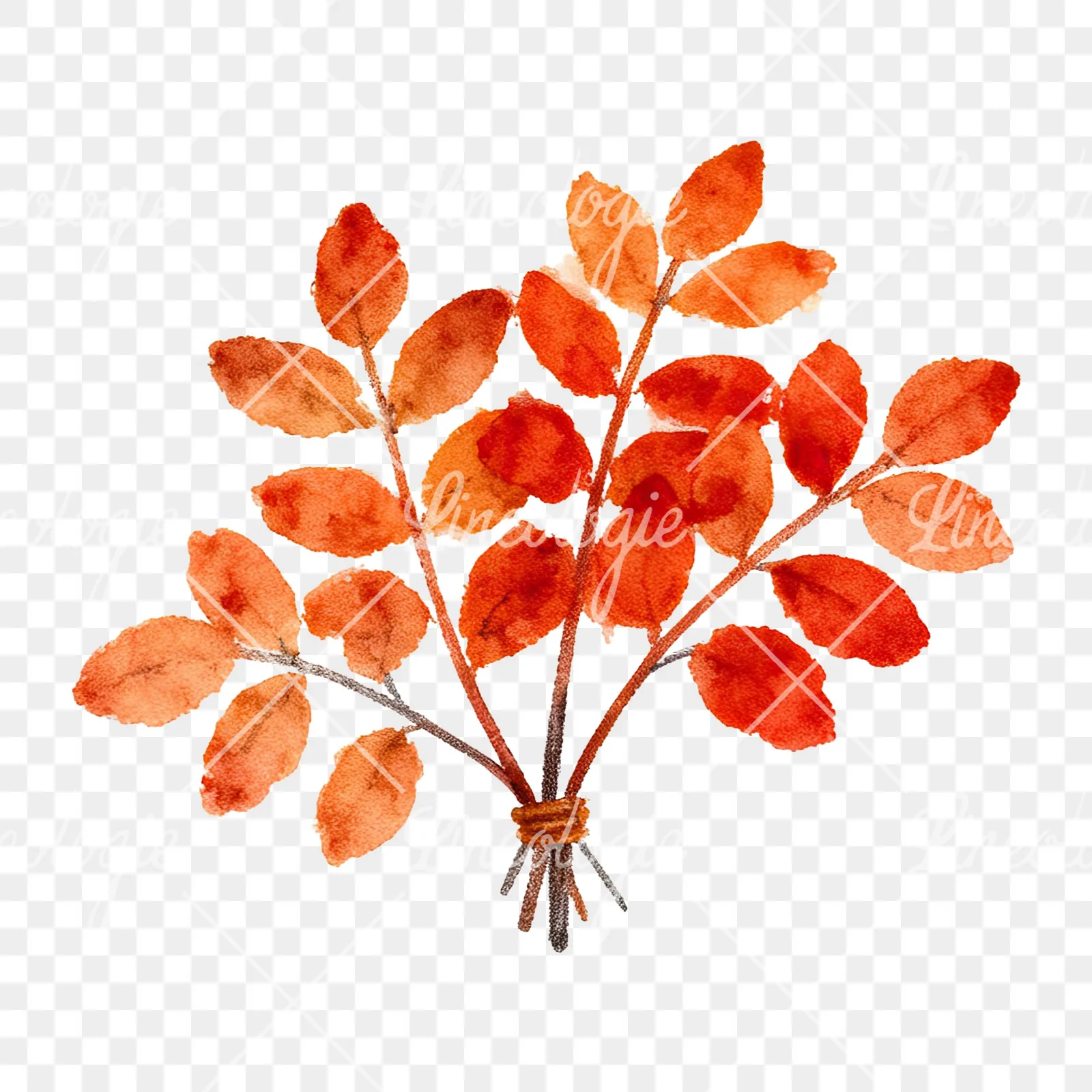 Watercolor autumn leaf bouquet clipart 9 of 15 on a transparent background (PNG)