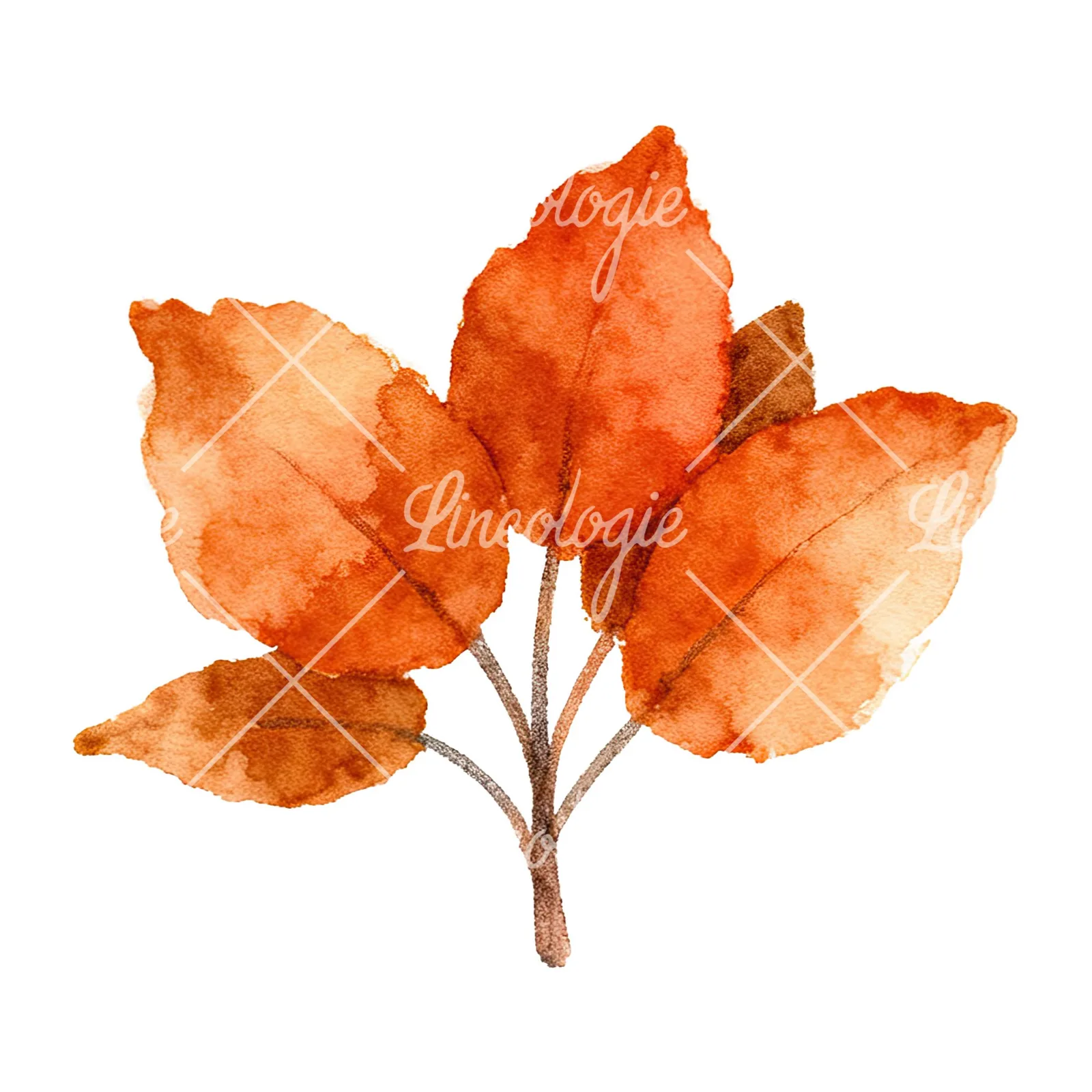 Watercolor autumn leaf bouquet clipart 11 of 15 on a white background (JPG)