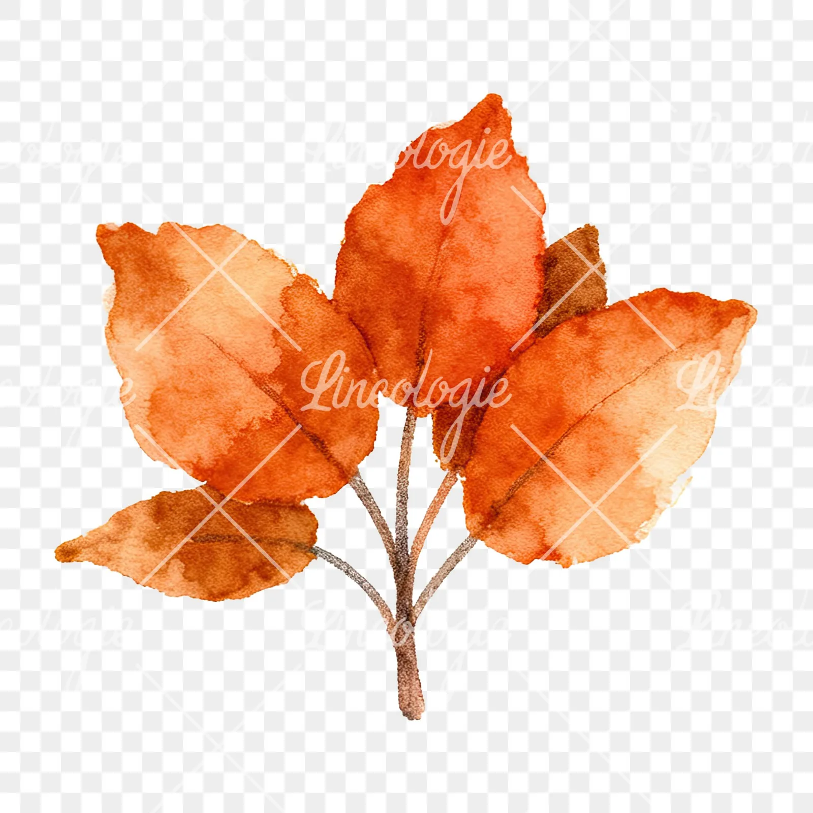 Watercolor autumn leaf bouquet clipart 11 of 15 on a transparent background (PNG)