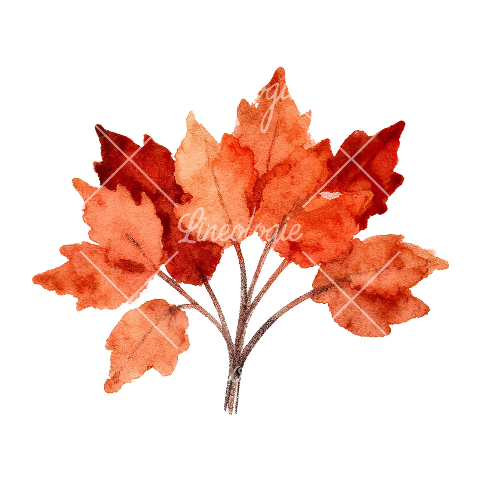 Watercolor autumn leaf bouquet clipart 12 of 15 on a white background (JPG)