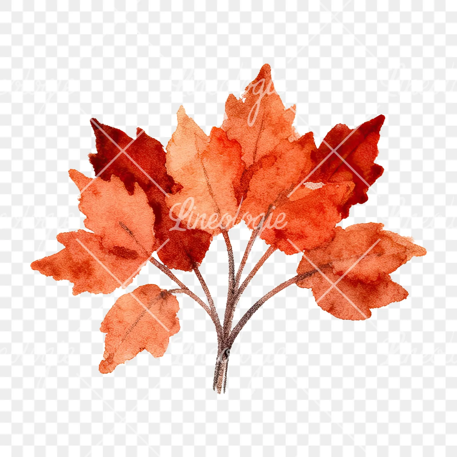 Watercolor autumn leaf bouquet clipart 12 of 15 on a transparent background (PNG)