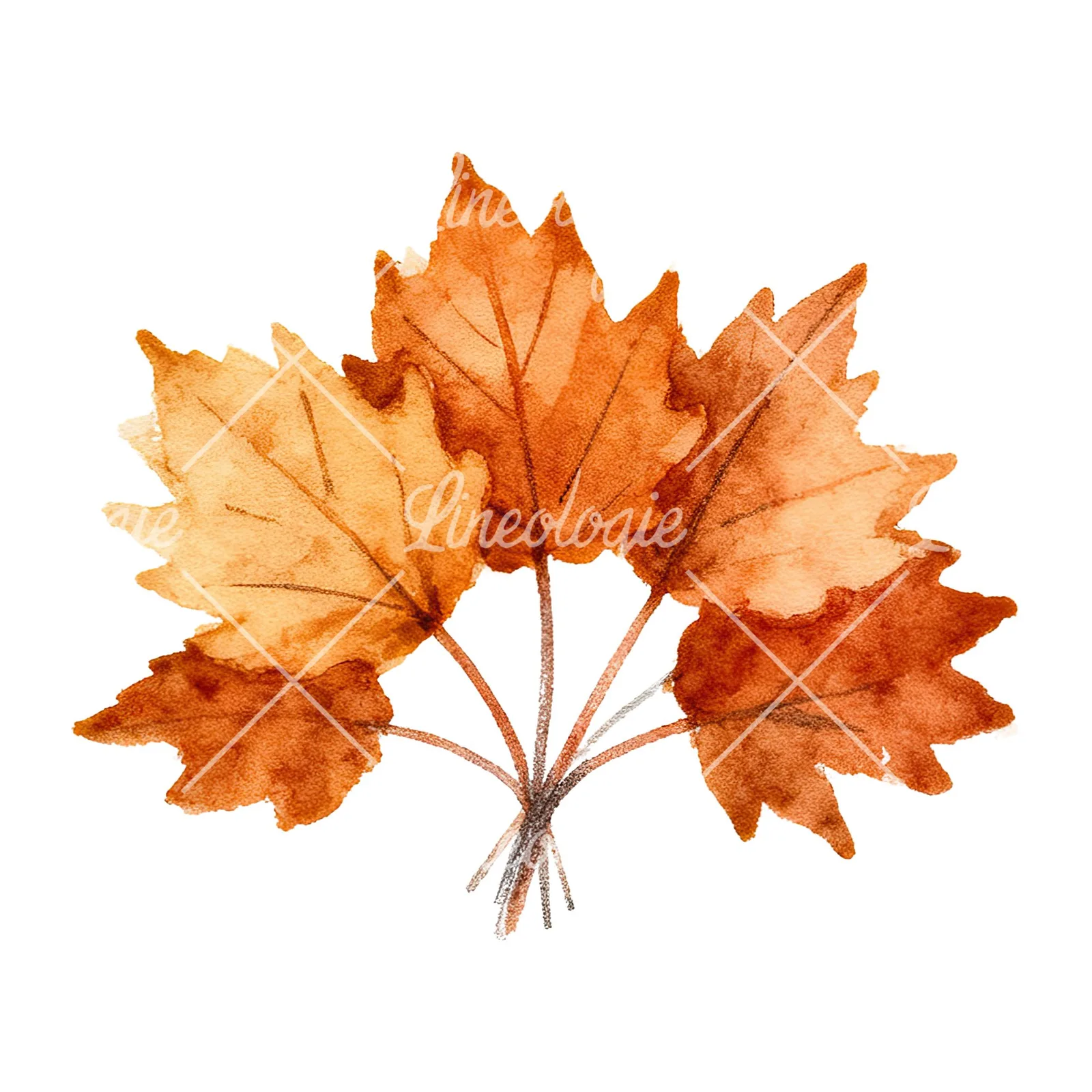 Watercolor autumn leaf bouquet clipart 15 of 15 on a white background (JPG)