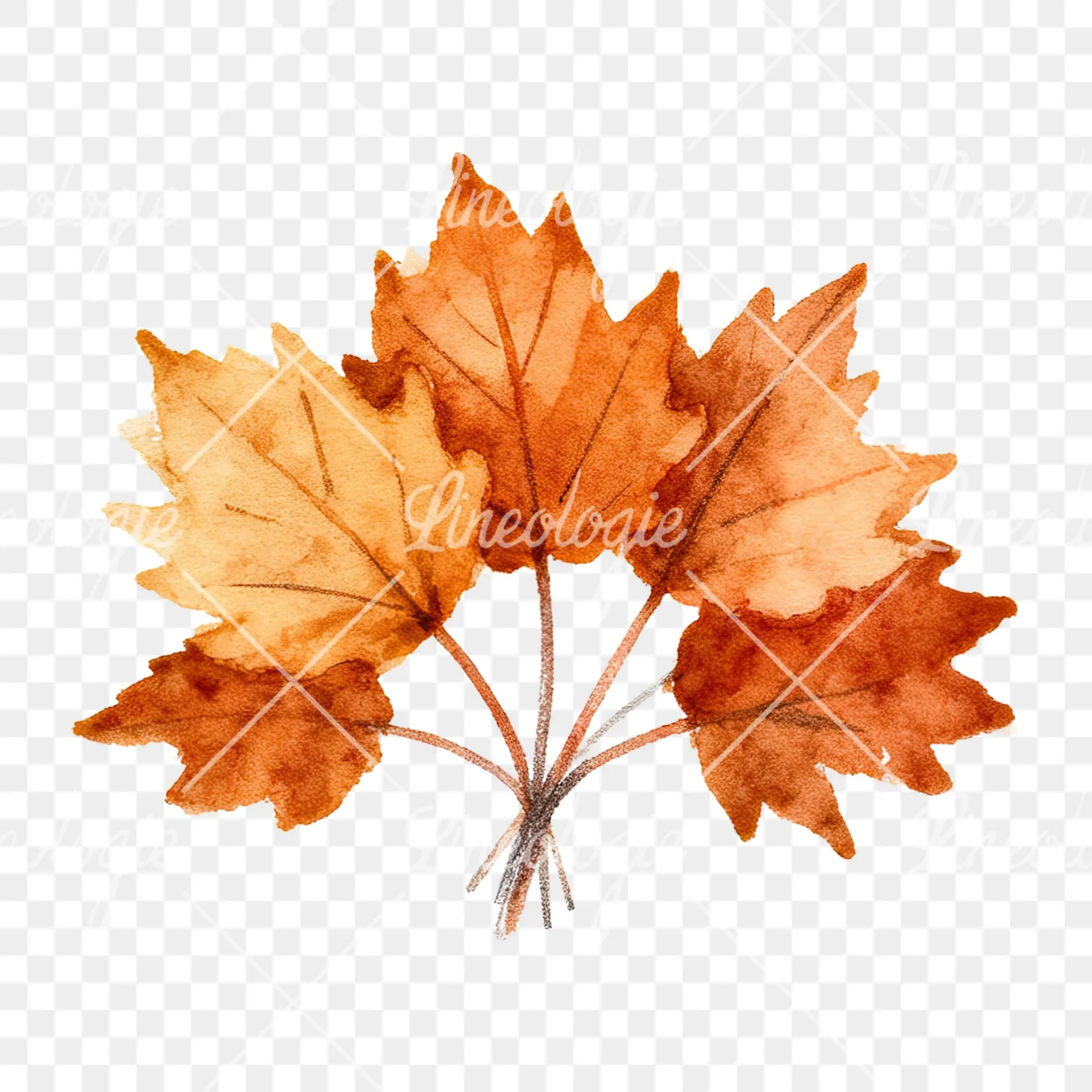 Watercolor autumn leaf bouquet clipart 15 of 15 on a transparent background (PNG)