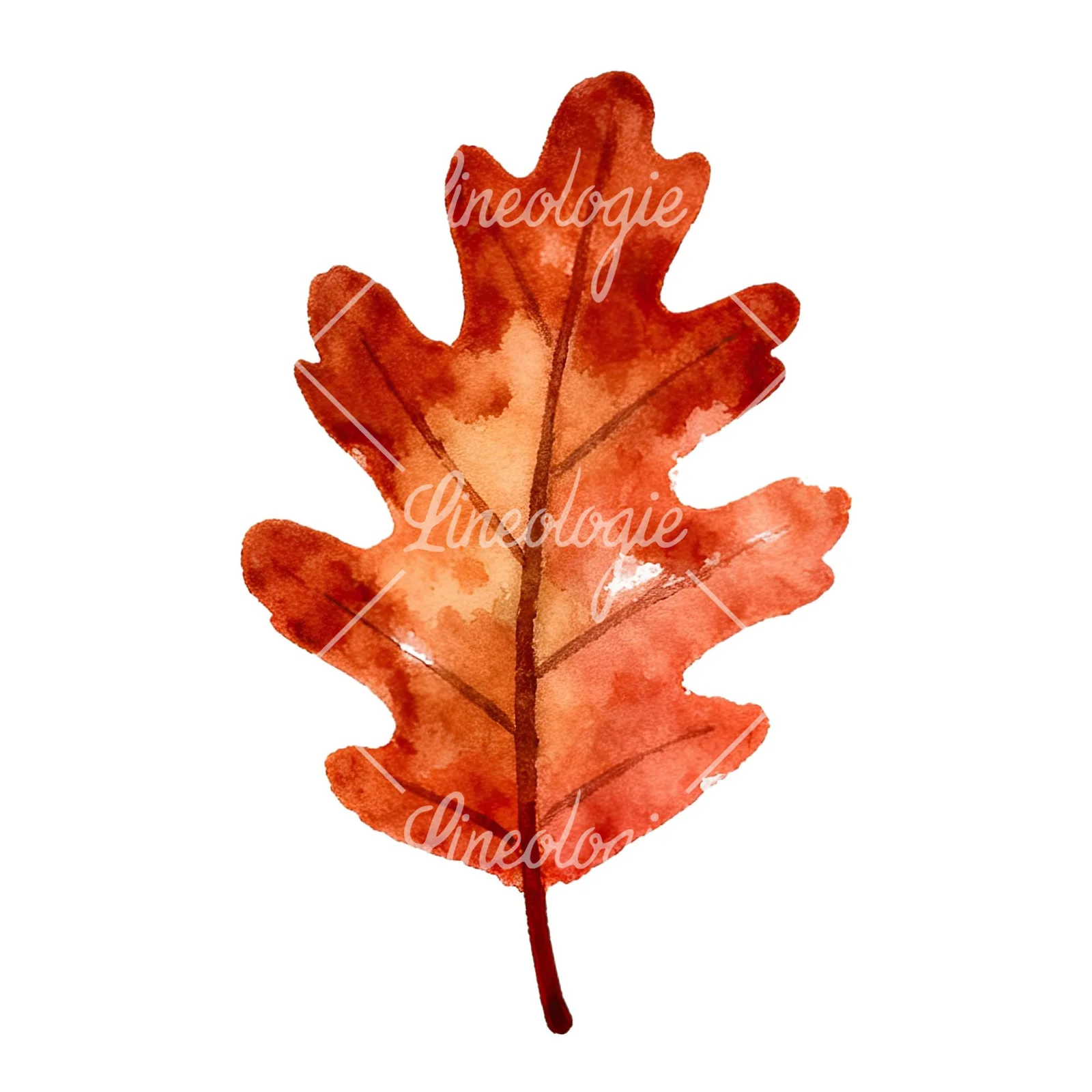 Watercolor autumn red orange leaf clipart 14 of 16 on a white background (JPG)