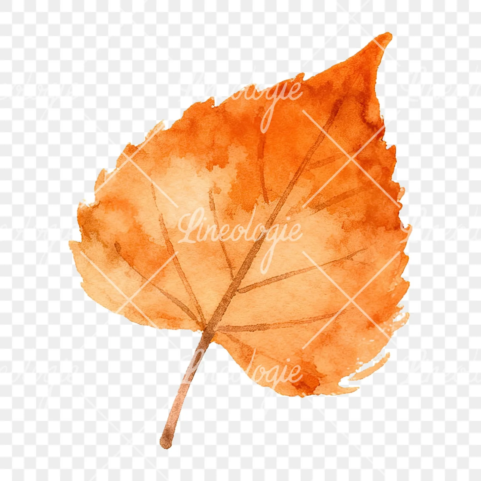 Watercolor autumn red orange leaf clipart 16 of 16 on a transparent background (PNG)