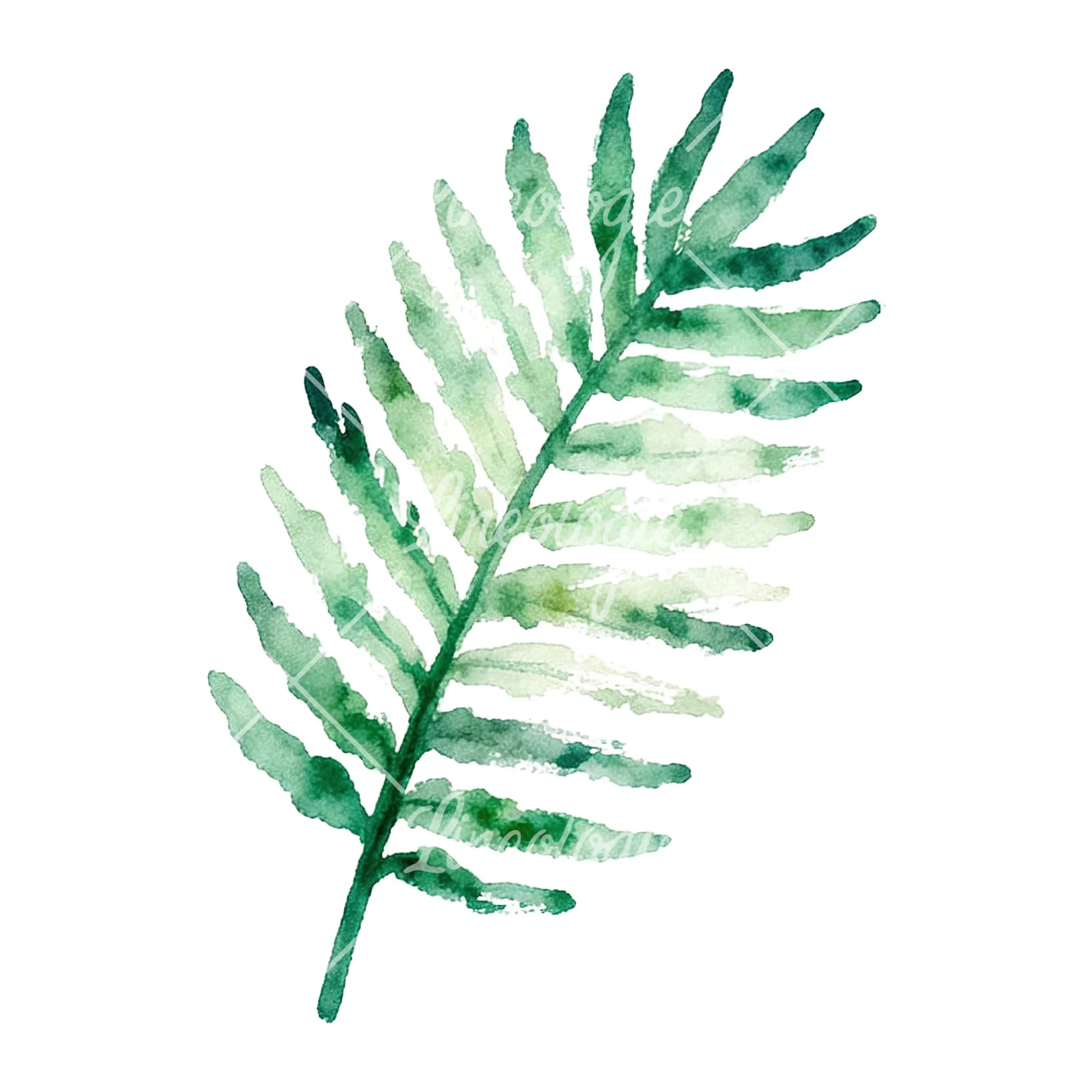 Watercolor yellow-green fern leaf clipart 5 of 9 on a white background (JPG)