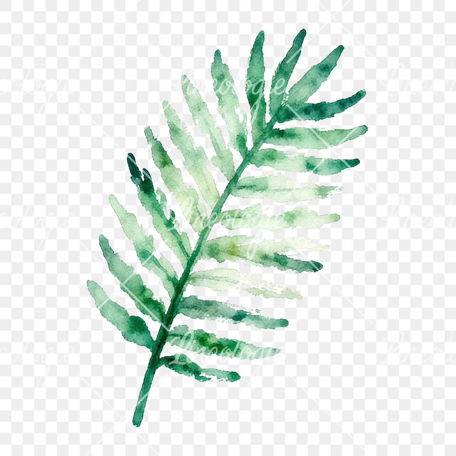 Watercolor yellow-green fern leaf clipart 5 of 9 on a transparent background (PNG)