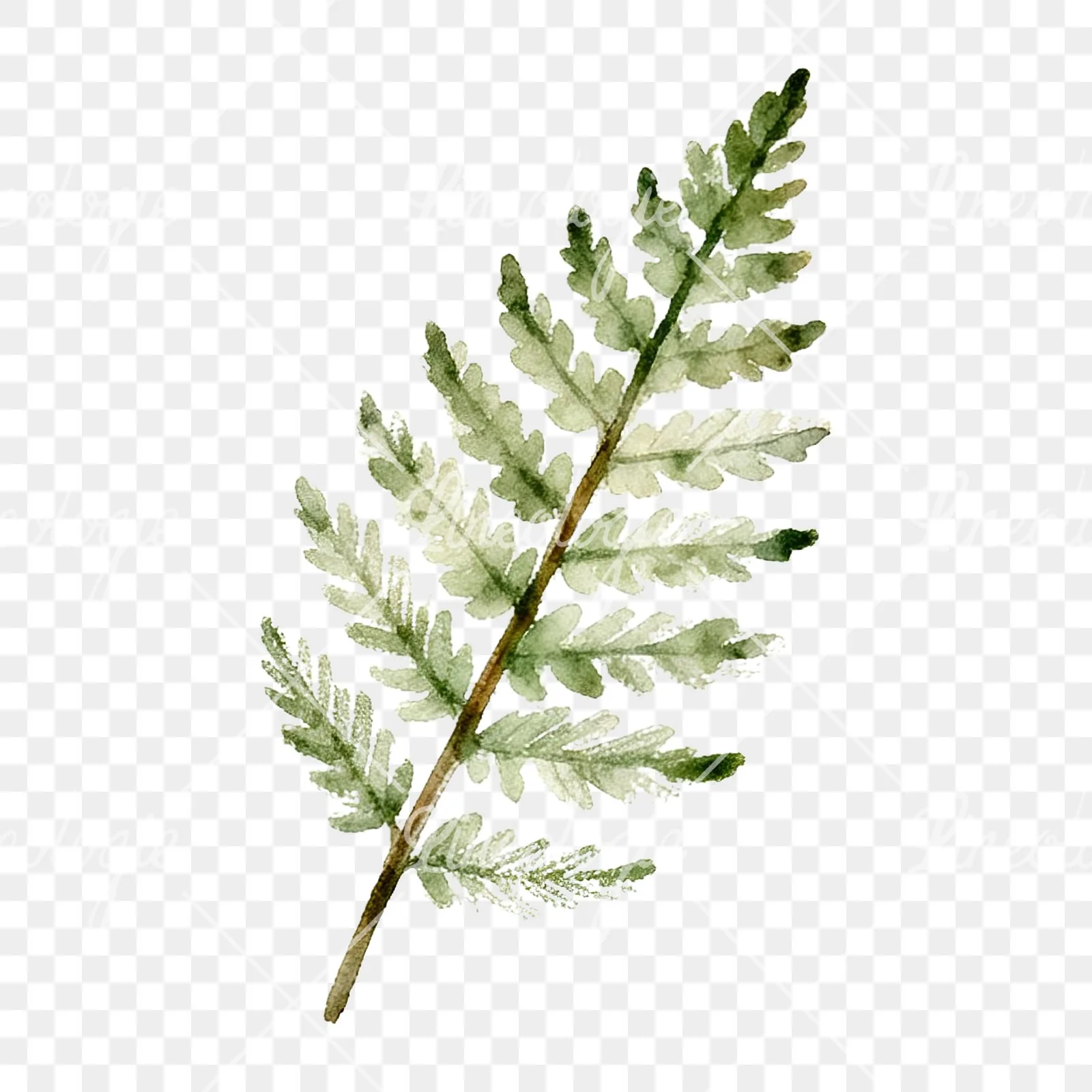 Watercolor yellow-green fern leaf clipart 6 of 9 on a transparent background (PNG)
