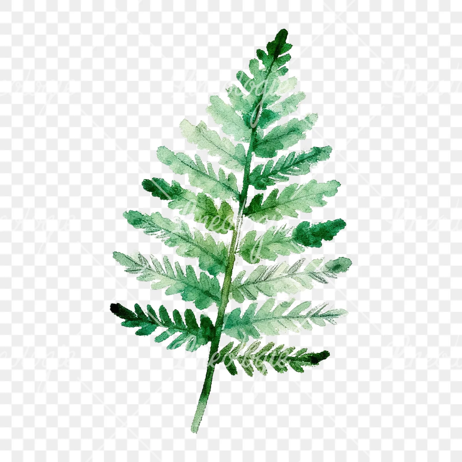 Watercolor bluish-green fern leaf clipart 3 of 9 on a transparent background (PNG)