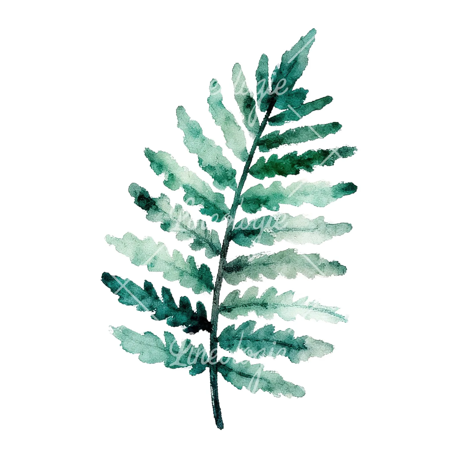 Watercolor bluish-green fern leaf clipart 4 of 9 on a white background (JPG)