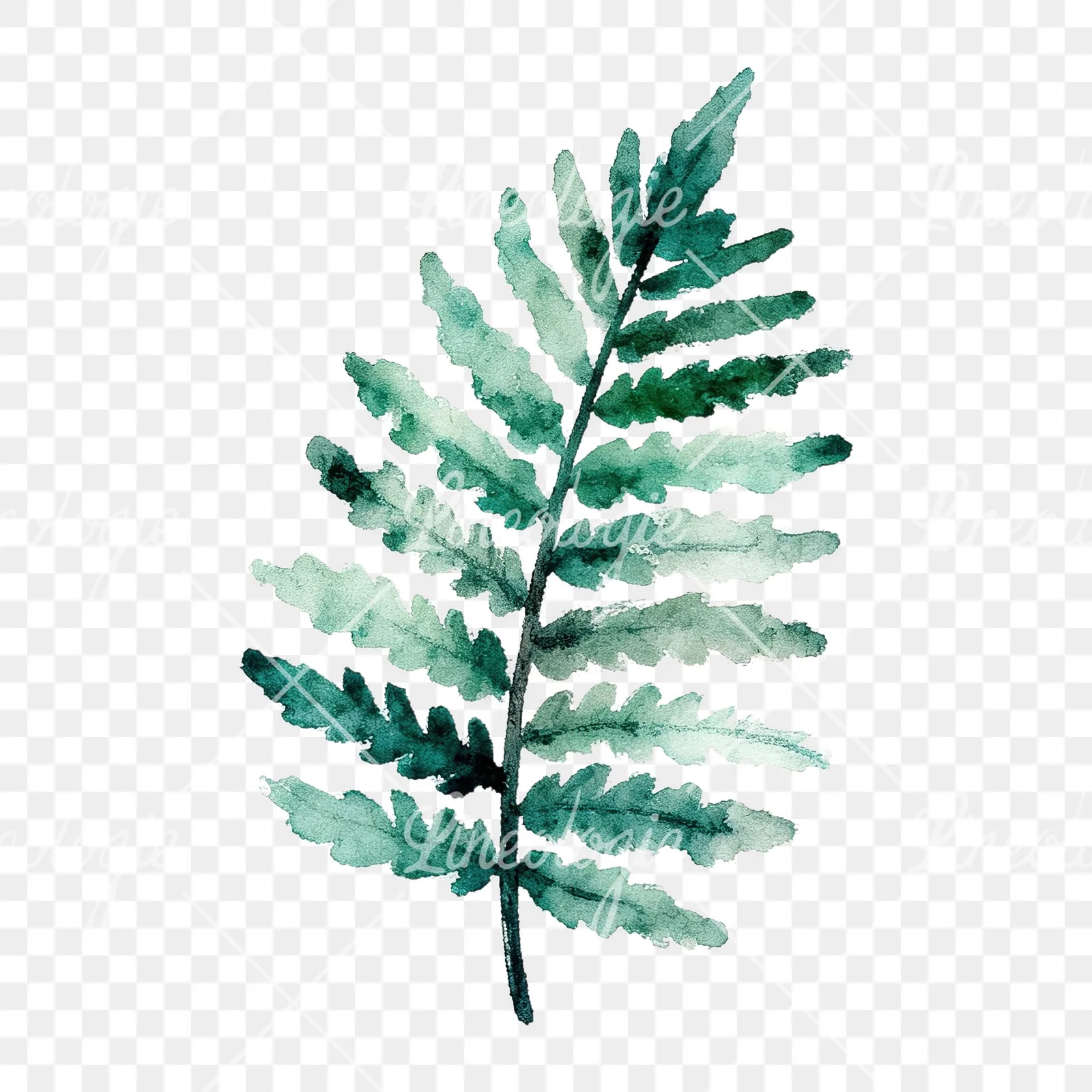 Watercolor bluish-green fern leaf clipart 4 of 9 on a transparent background (PNG)
