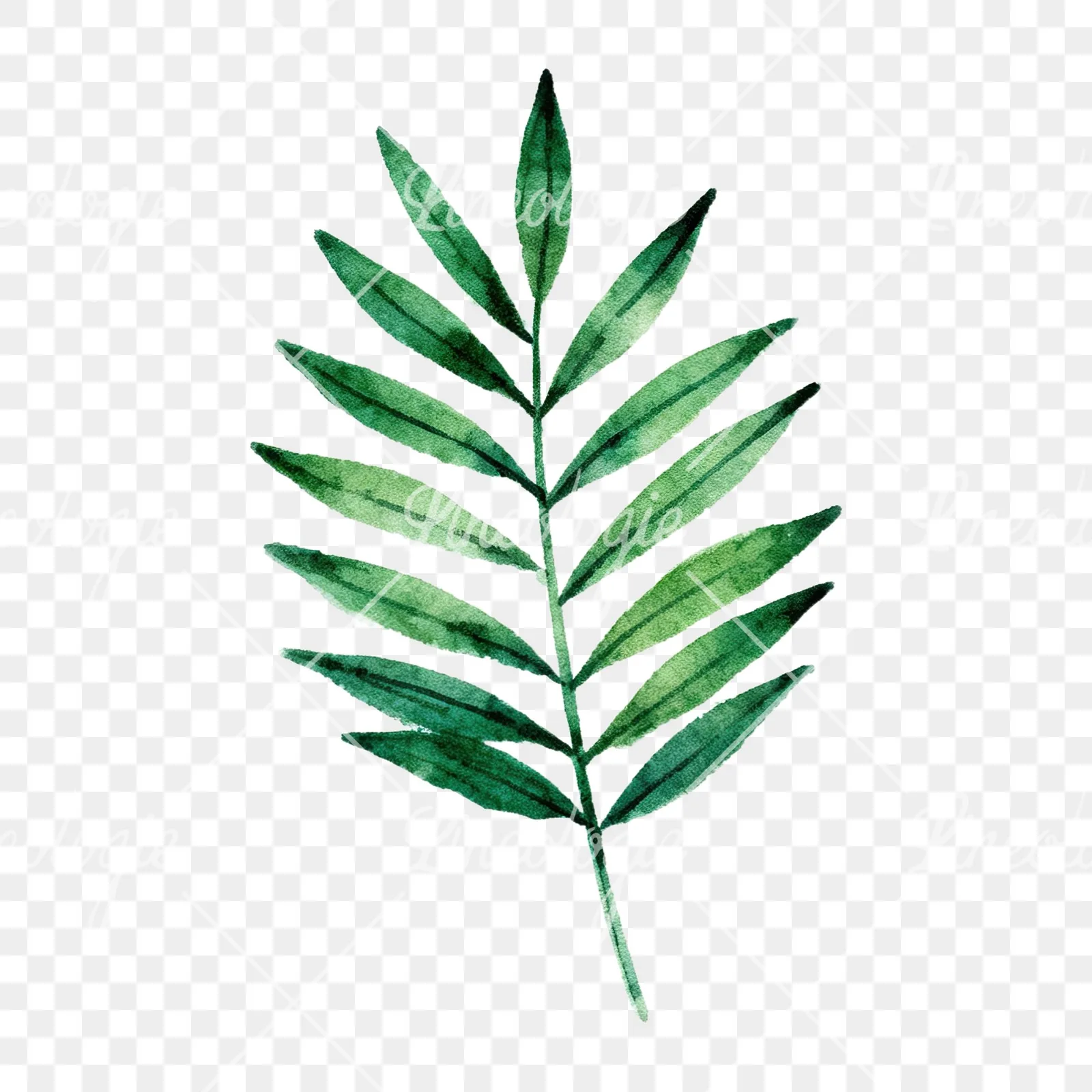 Watercolor tropical foliage clipart 1 of 9 on a transparent background (PNG)