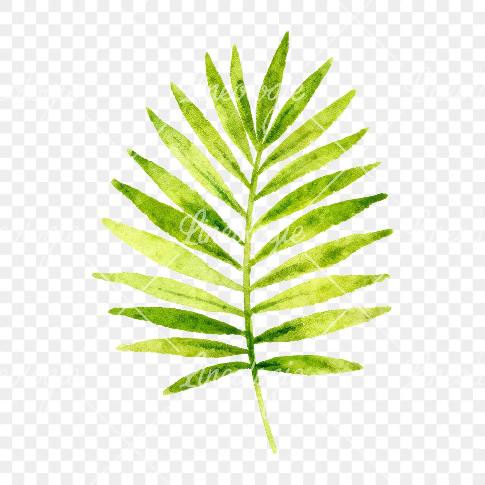 Watercolor tropical foliage clipart 4 of 9 on a transparent background (PNG)
