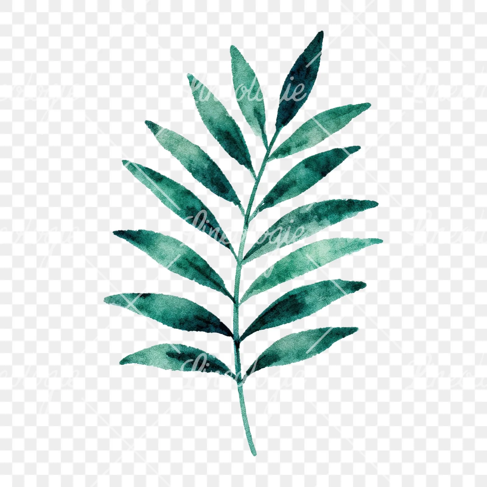 Watercolor tropical foliage clipart 8 of 9 on a transparent background (PNG)