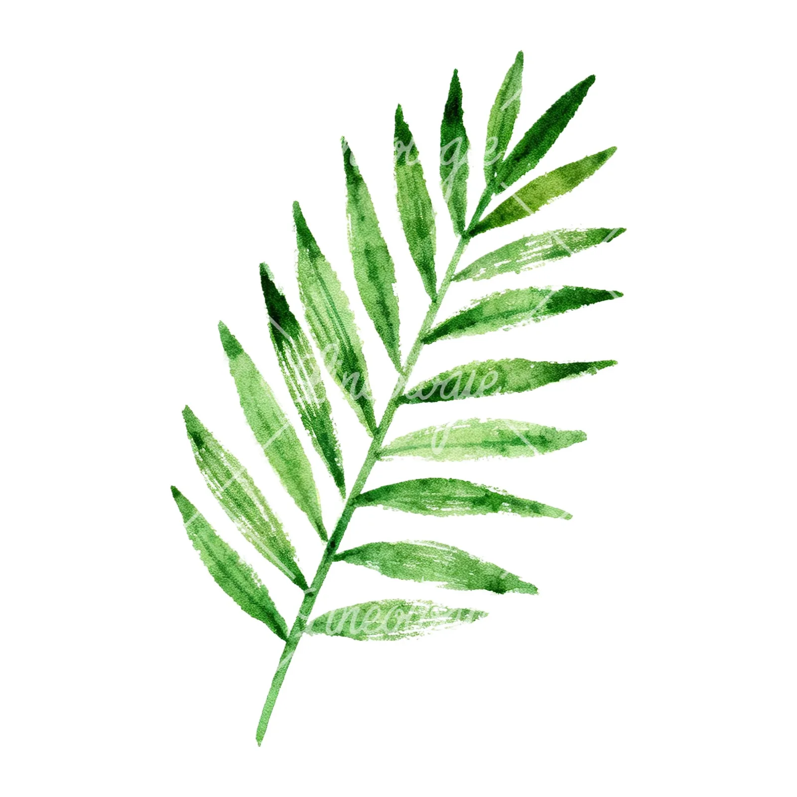 Watercolor tropical foliage clipart 9 of 9 on a white background (JPG)